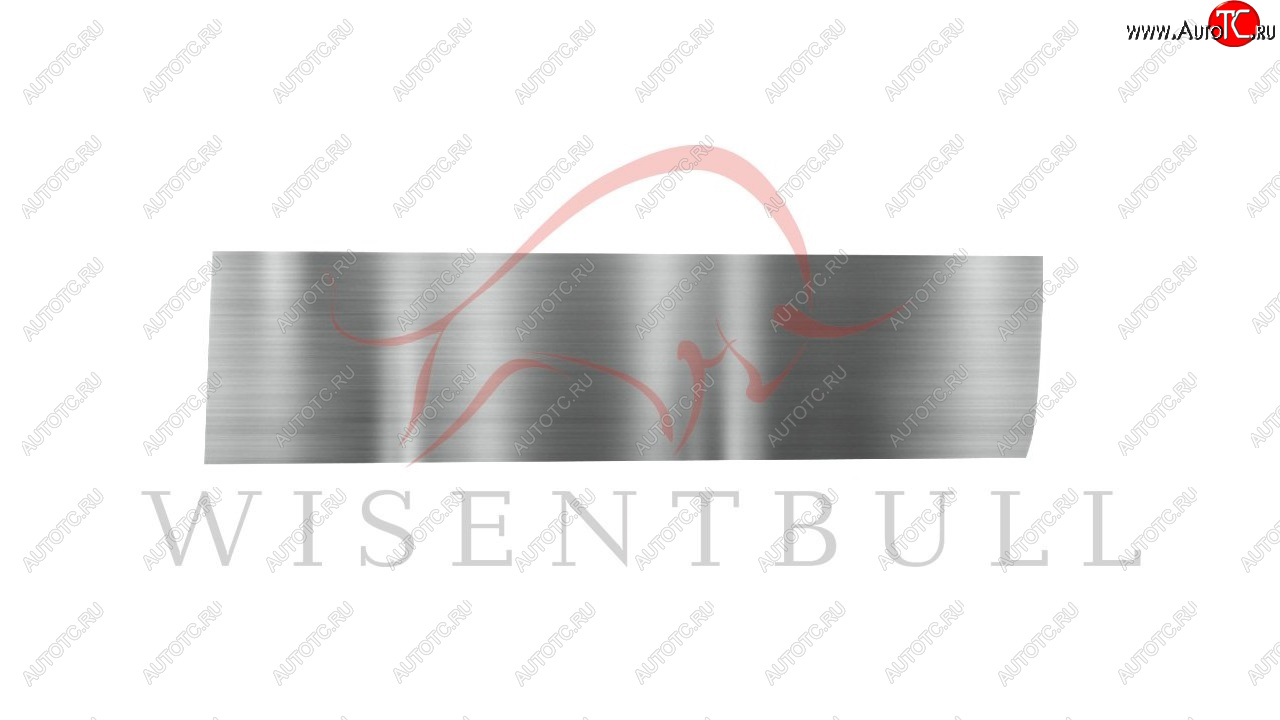 1 989 р. Ремкомплект правой двери Wisentbull Pontiac Wave T200 cедан дорестайлинг (2004-2006)  с доставкой в г. Кинешма