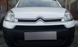 2 759 р. Сетка на бампер (рестайлинг) Russtal (черная) CITROEN Berlingo B9 дорестайлинг (2008-2016)  с доставкой в г. Кинешма. Увеличить фотографию 3