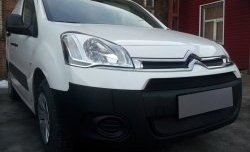 2 759 р. Сетка на бампер (рестайлинг) Russtal (черная) CITROEN Berlingo B9 дорестайлинг (2008-2016)  с доставкой в г. Кинешма. Увеличить фотографию 4