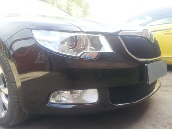 4 299 р. Защитная сетка в бампер (низ, ячейка 4х10 мм) Стрелка11 Премиум Skoda Superb B6 (3T) лифтбэк дорестайлинг (2008-2013) (Чёрная)  с доставкой в г. Кинешма. Увеличить фотографию 2