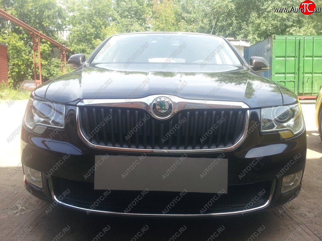 4 299 р. Защитная сетка в бампер (низ, ячейка 4х10 мм) Стрелка11 Премиум Skoda Superb B6 (3T) лифтбэк дорестайлинг (2008-2013) (Чёрная)  с доставкой в г. Кинешма