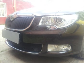 4 299 р. Защитная сетка в бампер (низ, ячейка 4х10 мм) Стрелка11 Премиум Skoda Superb B6 (3T) лифтбэк дорестайлинг (2008-2013) (Чёрная)  с доставкой в г. Кинешма. Увеличить фотографию 3
