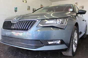 6 749 р. Защитная сетка в бампер (низ, 2 части, ячейка 4х10 мм) Стрелка11 Премиум Skoda Superb B8 (3V) лифтбэк дорестайлинг (2015-2019) (Чёрная)  с доставкой в г. Кинешма. Увеличить фотографию 2