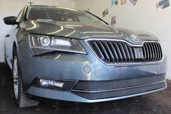 6 749 р. Защитная сетка в бампер (низ, 2 части, ячейка 4х10 мм) Стрелка11 Премиум Skoda Superb B8 (3V) лифтбэк дорестайлинг (2015-2019) (Чёрная)  с доставкой в г. Кинешма. Увеличить фотографию 3