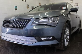 6 999 р. Защитная сетка в бампер (низ, 2 части, ячейка 4х10 мм) Стрелка11 Премиум Skoda Superb B8 (3V) лифтбэк дорестайлинг (2015-2019) (Хром)  с доставкой в г. Кинешма. Увеличить фотографию 3