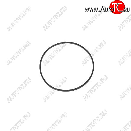 90 р. Кольцо уплотнительное головки топливного фильтра 6BT, ISC, ISL 4980085 CUMMINS 14120  с доставкой в г. Кинешма