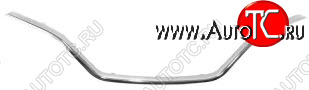 3 069 р. KAPTUR МОЛДИНГ РЕШЕТКИ РАДИАТОРА ХРОМ (Китай) BODYPARTS rnktr16-121  с доставкой в г. Кинешма