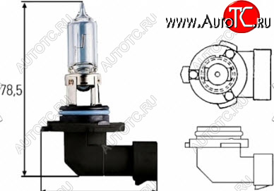 88 р. H10 (12V-42W  PY20D) ЛАМПА УПАКОВКА (1 шт) BLICK BODYPARTS lph1000-980-o  с доставкой в г. Кинешма