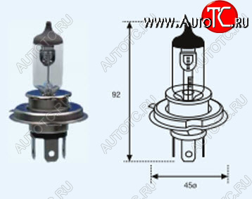 168 р. H4 (12V-60-55W  P43T) ЛАМПА УПАКОВКА (1 шт) SELUM BODYPARTS lp0h400-980-o  с доставкой в г. Кинешма