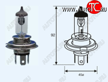 212 р. H4 (12V-60-55W  P43T Long Life) ЛАМПА УПАКОВКА (1 шт) SELUM BODYPARTS lp0h400-981-o  с доставкой в г. Кинешма