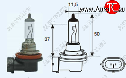 131 р. H11 (12V-55W  PG19-2) ЛАМПА УПАКОВКА (1 шт) BLICK BODYPARTS lph1100-980-o  с доставкой в г. Кинешма