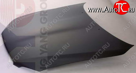 8 749 р. IS200300 КАПОТ BODYPARTS lxis299-330  с доставкой в г. Кинешма