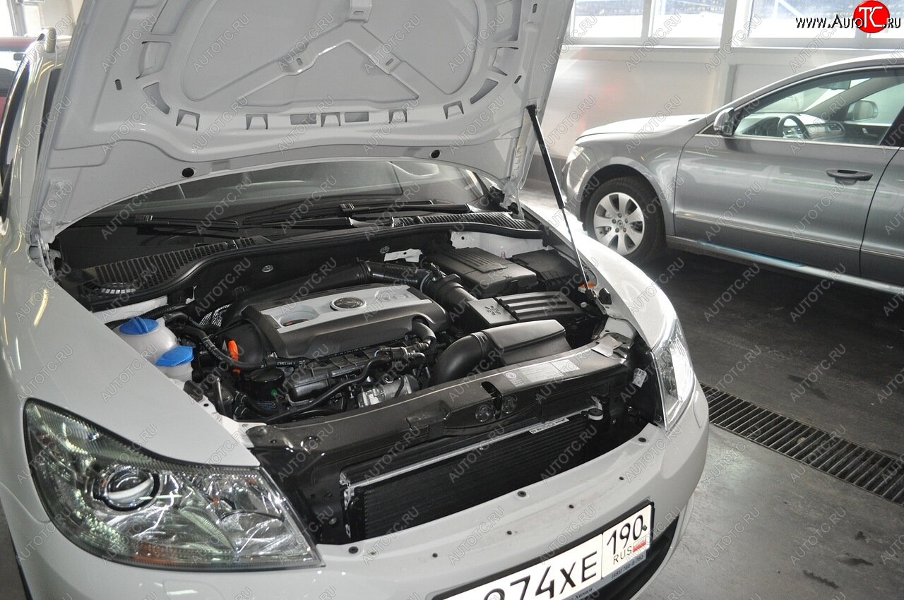 2 049 р. Упоры капота Russtal Skoda Octavia A5 дорестайлинг универсал (2004-2008) (1 штука)  с доставкой в г. Кинешма